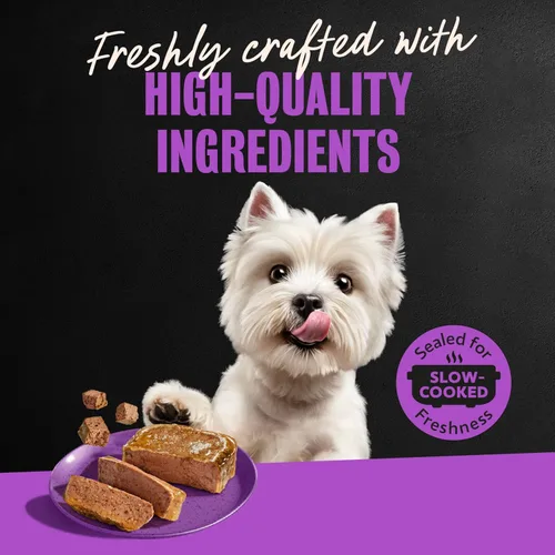 Vista 11 de Cesar Gourmet - Comida húmeda para perros, paquete de 12