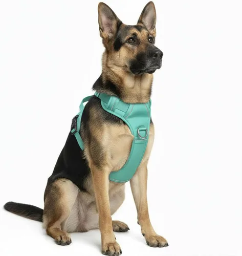 Vista 11 de Arnés sin tirones para perro, con 2 clips para correa, chaleco Oxford reflectante ajustable para mascotas con asa de fácil control para perros Negro