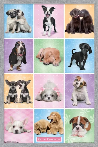 Vista 15 de Trends International Póster de pared Puppies Cuties, 22.375 x 34 Versión con marco negro