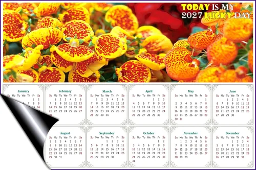Vista 2 de Calendario magnético 2023 – Imán de calendario – Today is my Lucky Day – Edición #13