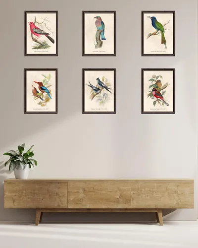 Vista 4 de Nilem Design Arte de pared vintage de pájaros, juego de 6 impresiones sin marco de 8 x 10 pulgadas, carteles de ilustración de naturaleza antigua