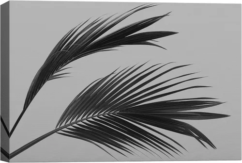 Vista 40 de SigNWIN - Lienzo decorativo para pared, diseño de hojas de monstera tropicales, fotografía realismo, diseño moderno en blanco y negro, para sala