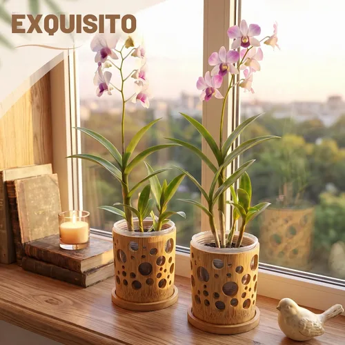 Vista 5 de Juego de 2 macetas de orquídeas con agujeros de 4 pulgadas