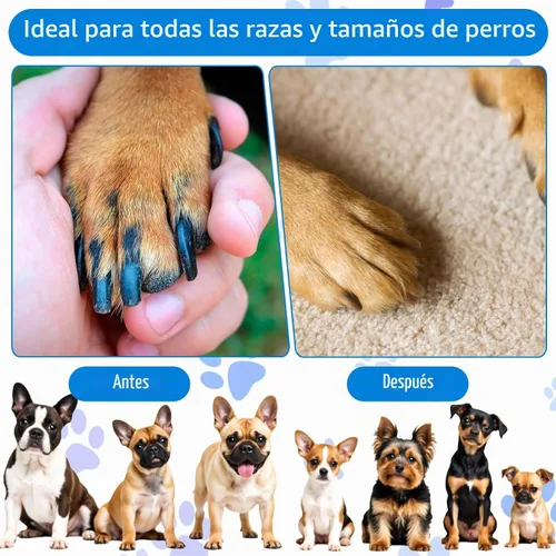 Vista 5 de Grevosea Tabla para rascar uñas de perro, 3 en 1, almohadilla redonda giratoria para uñas con caja de golosinas, lima de uñas para perros, tabla