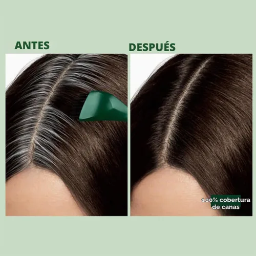 Vista 4 de Clairol Natural Instincts - Tinte permanente para el cabello Root Touch-Up de Natural Instincts, 2 colores de cabello negro, paquete de 1 unidad 2