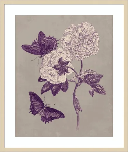 Vista 7 de Amanti Art Lienzo decorativo para pared, 24 x 20 pulgadas, estudio de la naturaleza en ciruela y gris pardo IV por Maria Merian, arte de pared