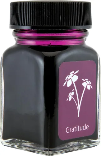 Vista 14 de Monteverde - Botella de tinta, 30 ml, Azul Confianza (G309CL)