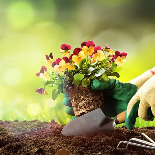 Vista 8 de BESPORTBLE 1 juego de herramienta esencial de jardinería para paisajismo al aire libre, implementos de jardinería agarre cómodo para trasplante