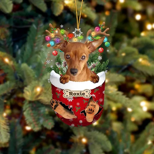 Vista 72 de LOVELYPOD Adorno Personalizado de Perro Affenpinscher, Adornos de Navidad Affenpinscher Regalo para Amante de Perros, Adorno de Navidad Colgante