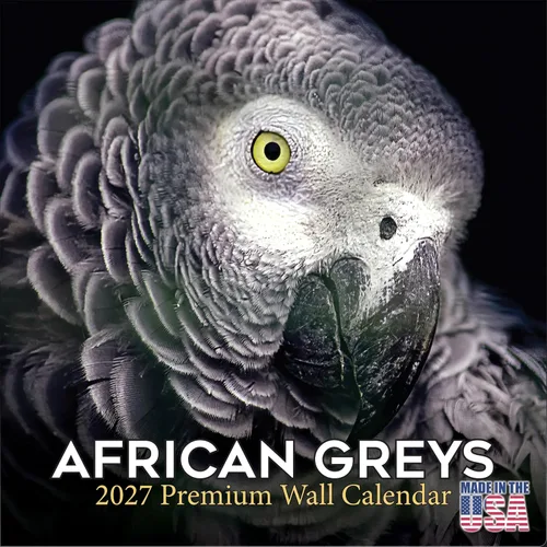 Vista 468 de Calendario de grises africanos 2025 2026 – Planificador mensual de pared de aves africanas – 12 x 18 pulgadas (abierto), calendario de pared