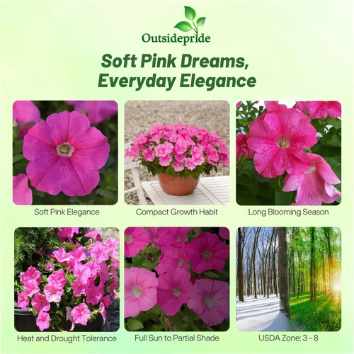 Vista 2 de Outsidepride Pink Petunia Grandiflora Seeds - 250 unidades. Semillas de flores anuales, compactas y versátiles para plantar flores vibrantes de bajo