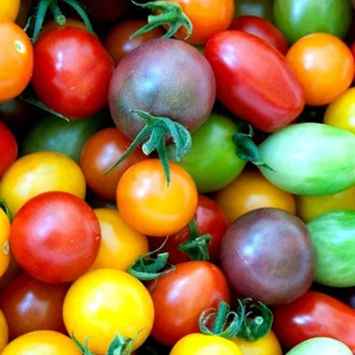 Vista 22 de Semillas de huerto para plantar - Cultiva verduras tradicionales (pimienta de 5 colores)