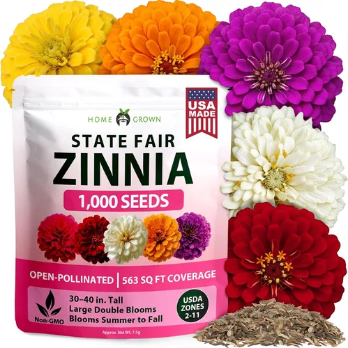 Vista 153 de HOME GROWN Bachelor Button Tall Mix 700+ Semillas de flores Centaurea
