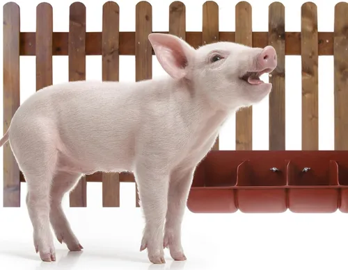 Vista 2 de DOITOOL Comedero de cabra para granos, alimentador de valla de plástico para cerdos, canal de alimentación de montaje de 4 compartimentos