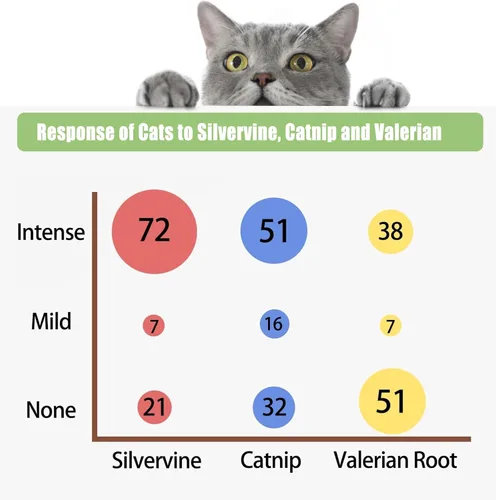 Vista 2 de Paquete de 10 paquetes de polvo Silvervine para juguetes para gatos, polvo orgánico de fruta de la agalla (Matatabi), juguetes recargables de hierba