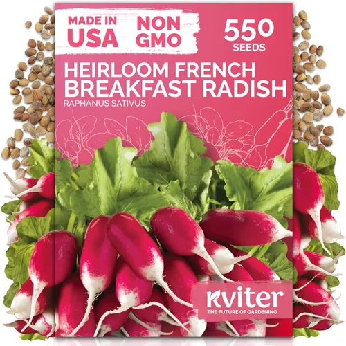 Vista 34 de KVITER 3000 semillas de espinaca egipcias - Molokhia (Corchorus Olitorius) - Hojas de yute, Ewedu, Día de Rau, Semillas de vegetales Saluyot