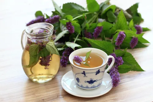 Vista 3 de Hyssop Purple Giant 2000 Seeds (Agastache Rugosa) Heirloom - Open Pollinated