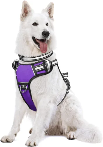 Vista 28 de Arnés para perro sin tirones, arneses para mascotas con collar, chaleco Oxford reflectante y ajustable, hebillas delanteras y traseras para correa