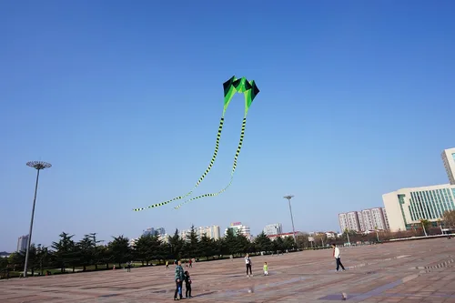 Vista 3 de Besra Cometa grande de rana fluida de diamante 3D de una sola línea con 2 colas largas, deportes divertidos al aire libre para niños y adultos