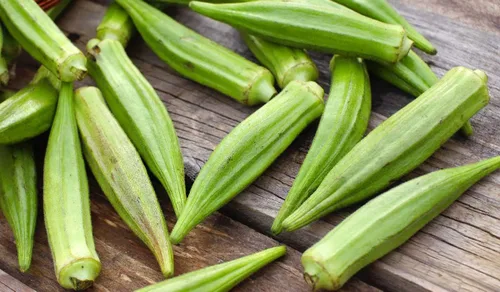 Vista 7 de Okra Lady's Finger (Abelmoschus esculentus) Bamia Vegetal para plantar jardín para plantar sin OMG