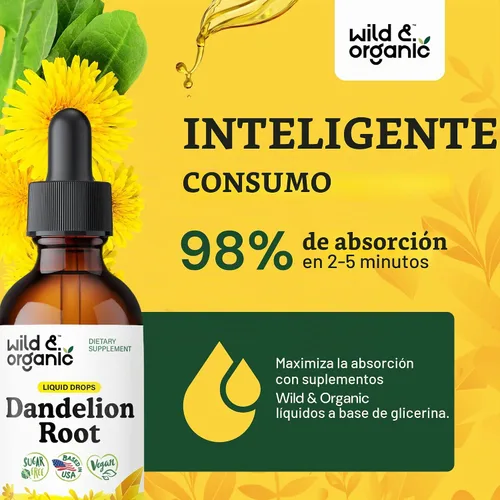 Vista 4 de Suplemento de raíz de diente de león salvaje y orgánico - Soporte de desintoxicación hepática - 2 oz