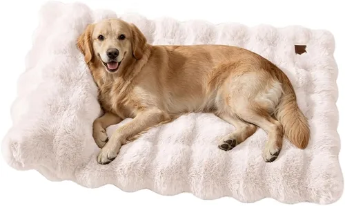 Vista 12 de SOMAHE Cama para gatos y alfombrilla para perros pequeños, almohada elevada Blanco