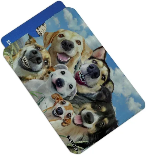 Vista 2 de Dogs Smile Selfie Retriever - Juego de 4 fundas para tarjetas de crédito con bloqueo RFID