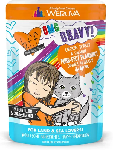 Vista 22 de Weruva B.F.F. OMG - Best Feline Friend Oh My Gravy!, Booya! - Alimento para gatos con carne de res y pollo en salsa, bolsa de 2.8 onzas