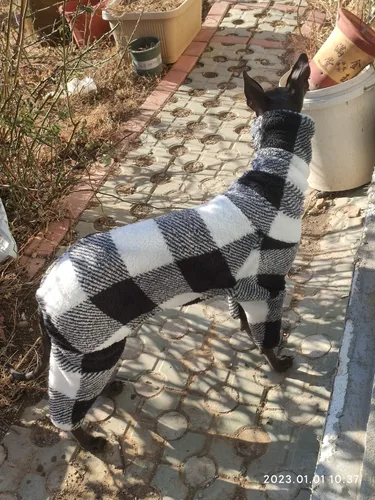 Vista 6 de Greyhound Clothes - Overol de invierno para perro, cálido de forro polar, cuello alto, manga larga, cuatro patas, sudadera con estampado a cuadros