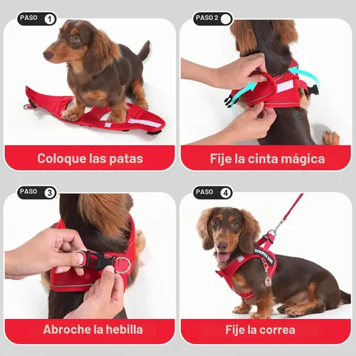 Vista 4 de Arnés de chaleco de servicio para perros de raza pequeña con etiqueta de identificación, 50 tarjetas ADA, 10 parches extraíbles, arnés de apoyo