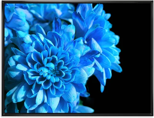 Vista 55 de DesignQ Lienzo enmarcado tradicional con flores silvestres azules con hojas verdes II