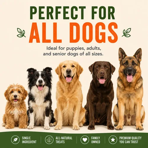 Vista 8 de Gaines Family Farmstead Golosinas para perros, bolsa de 8 onzas, masticables de batata de un solo ingrediente para perros, alternativa de cuero