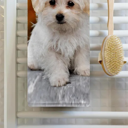 Vista 2 de 3dRose 22x30 Toalla de baño de mano para piscina - Maltés. Lindo cachorro. Perros