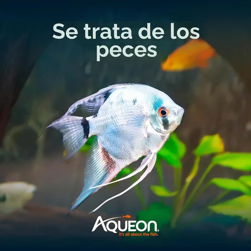 Vista 5 de Aqueon Alimento para pescado cíclidos, mejora del color, 4.5 onzas
