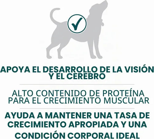 Vista 4 de Purina ONE - Alimento para cachorros de raza grande en seco, fórmula +Plus de raza grande, bolsa de 16.5 libras