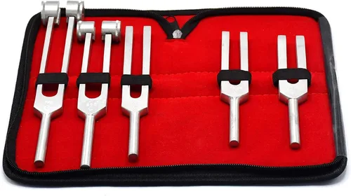 Vista 2 de TIENDA ONLINE DE G.S - 5 Diapasones Diagnóstico Quiropráctico Fisioterapia
