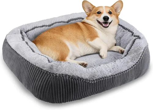 Vista 10 de Camas para perros y gatos pequeños, medianos y grandes. Cama lavable para mascotas, sofá cama ortopédica para perros, cama suave y calmante