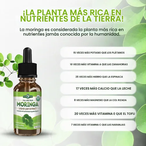 Vista 6 de PURA VIDA MORINGA Gotas líquidas de extracto de hojas – Certificado orgánico USDA – altamente purificado, biodisponible y absorción más rápida que