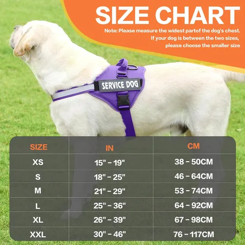 Vista 2 de MUMUPET Arnés para perro, chaleco reflectante sin tirones, arnés transpirable ajustable para mascotas con asa para caminar al aire libre, no más