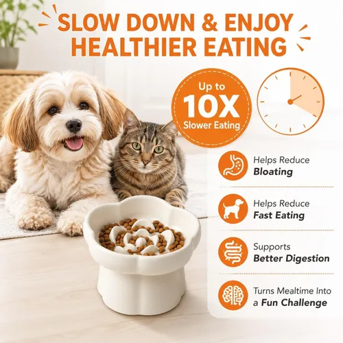Vista 5 de Cuencos de alimentación para mascotas, cuenco elevado de cerámica para perros, cuenco elevado inclinado en 10° con diseño de flores, base Blanco