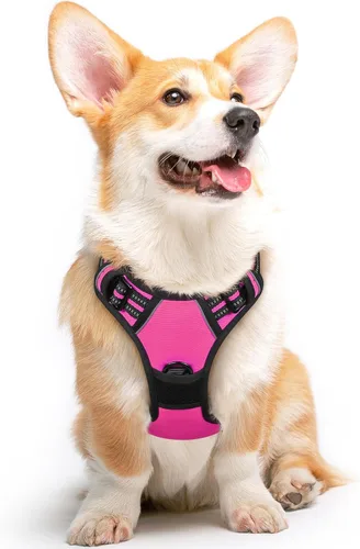 Vista 13 de Eagloo Arnés para perro pequeño, sin tirones, chaleco de servicio con tiras reflectantes y asa de control, ajustable y cómodo para caminar, arnés