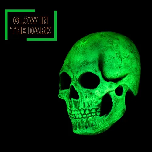 Vista 3 de Adult Glow in The Dark Skull Mask