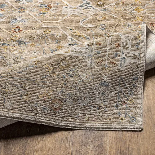 Vista 5 de Hauteloom Kunzite - Alfombra de área para sala de estar, dormitorio, borde de medallón floral geométrico envejecido, tradicional oriental de Marrón