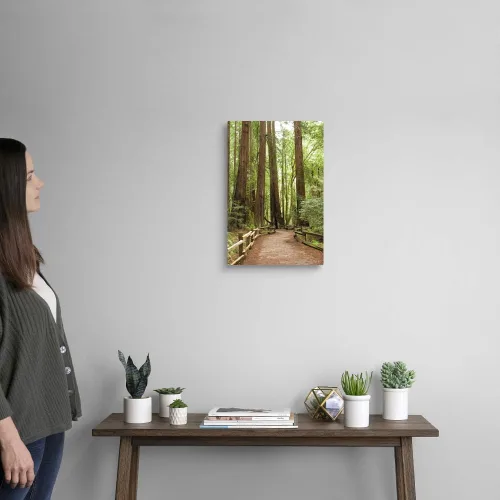 Vista 2 de California, condado de Marin, Muir Woods - Lienzo decorativo para pared, diseño de bosque