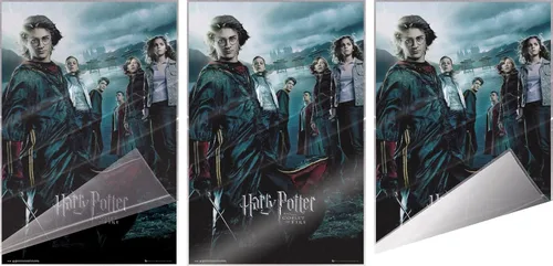 Vista 3 de Harry Potter y el cáliz de fuego - Póster de película (estilo regular) (tamaño: 24 x 36 pulgadas) (póster laminado)