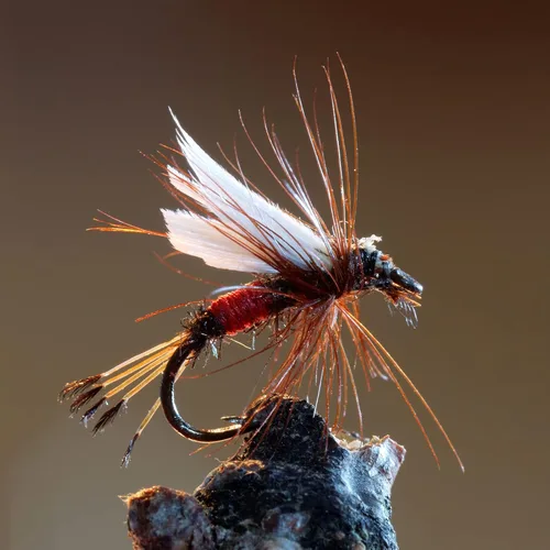 Vista 4 de Goture Fly Fishing Flies Kit,25pcs/30pcs/100pcs Fly Fishing Lures,Dry Flies Wet Flies Streamers Nymphs Flies, Fly Fishing Assortment Kit for Bass