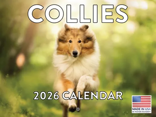 Vista 88 de Calendario mensual de pared Airedale Terrier Dog 2027 rojo (Airedale Terrier)