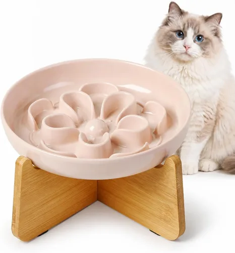 Vista 10 de PTOBER Cuenco elevado para gatos de alimentación lenta – Plato de melamina para gatos con soporte de bambú antideslizante – Tazón de alimentación