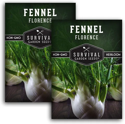 Vista 10 de Florence - Semillas de hinojo para plantar, variedad de bulbos italianos reliquia con sabor dulce crujiente, semillas de huerto sin OMG, semillas