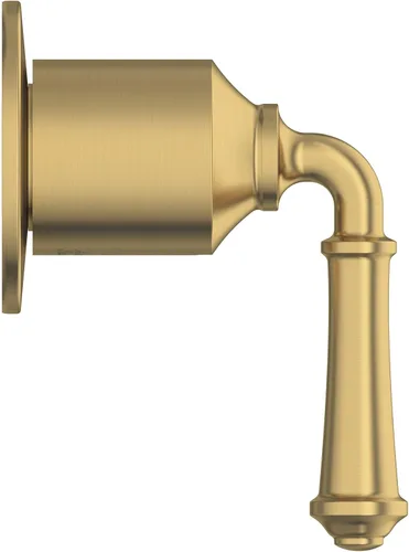 Vista 2 de American Standard T052430.GN0 Delancey Desviador Válvula Trim, Oro Cepillado